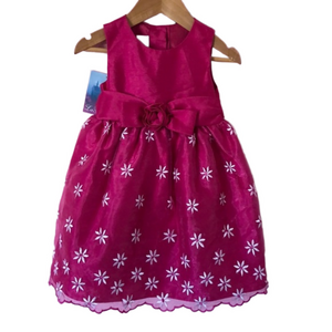La princess NWT beautiful girls dress 🌸👗24Months